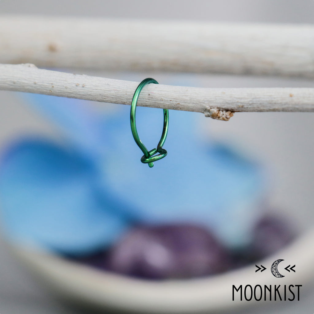 Brightly Colored Niobium Sleeper Hoop Earrings | Moonkist Designs